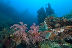 Liberty wreck