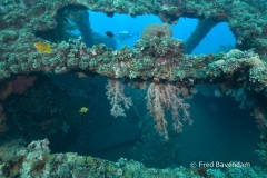 Liberty wreck