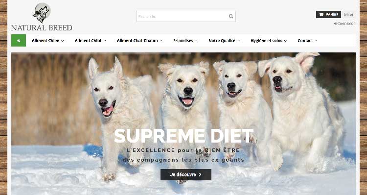 Alimentation naturelle sans céréales pour chien